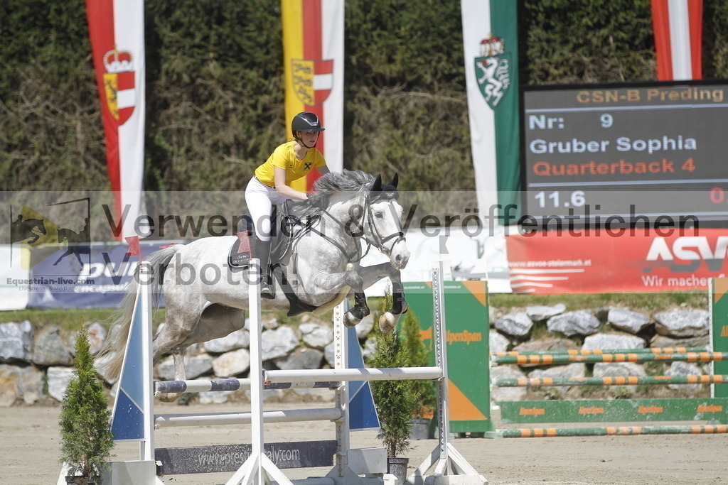 _MG_6577 | equestrian-live-com