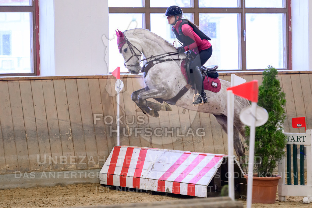 29032026-Schwaiganger-Prfg01-558 | Fokus Hufschlag Fotografie - Realisiert mit Pictrs.com
