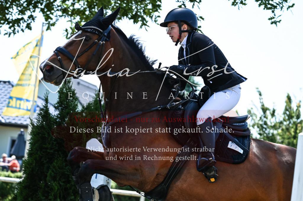 DSC_0055 | Pferde- und Turnierfotografie in Westsachsen. Pferdeportraits, Auftragszeichnungen und intuitive Kunst.