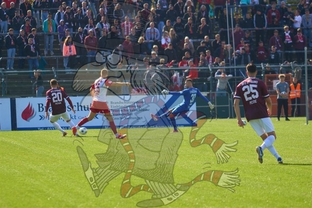 BFC Dynamo vs. FSV Zwickau 014 | mythos-online-redaktion