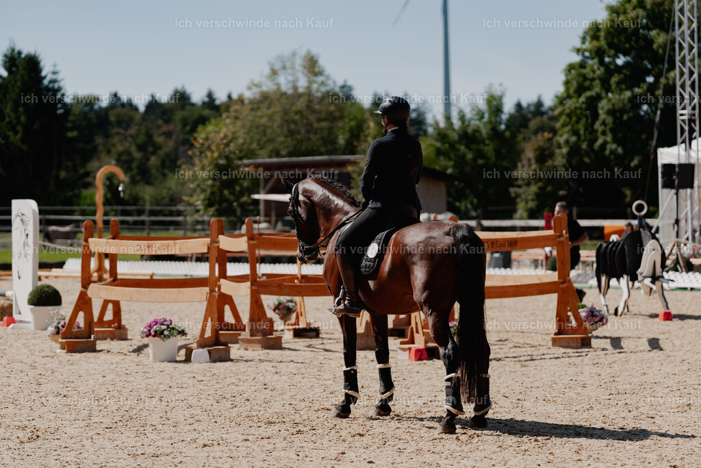 Nadine22_FHC2025-58 | working equitationturnier fotograf videograf stoibphotography marixx film working equitation deutschland reitsport turnierfotografie eventfotografie equestrian events