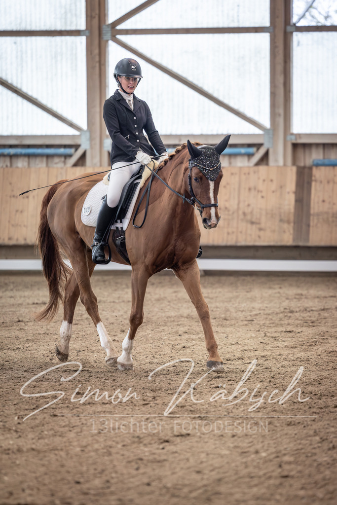 20251011-_3LI9777 | Tierfotografie Pferde, Hunde, Katzen, Haustiere.
Turnierfotografie Reitturniere, Reiten, Springreiten, Dressur in Hanau, dem Main-Kinzig-Kreis und dem Rhein-Main- Gebiet um Frankfurt