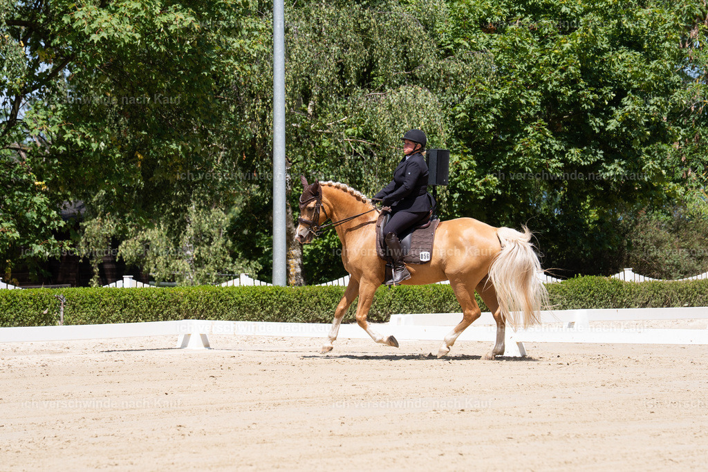 WS_DR_53_sinafilmart_IN08610 | working equitationturnier fotograf videograf stoibphotography marixx film working equitation deutschland reitsport turnierfotografie eventfotografie equestrian events