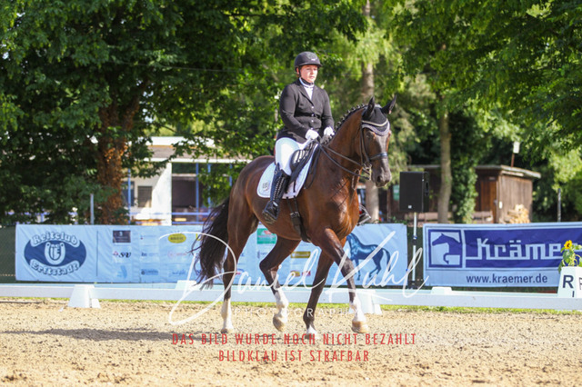 DKP41257 | Turniersportfotografie; Pferdefotografie; Dressurfotografie