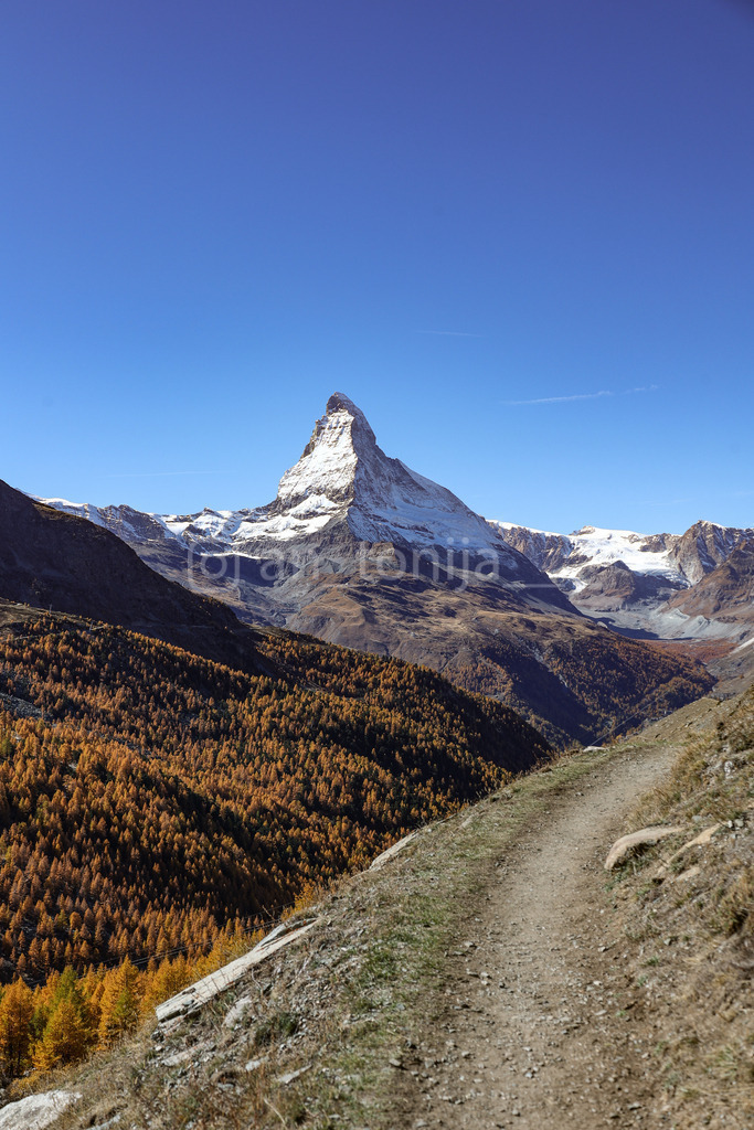 A.Trupina-174 | antonija-trupina - Realisiert mit Pictrs.com