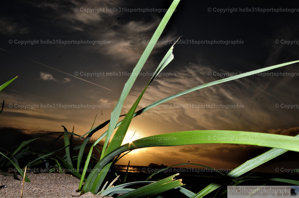 DSC_3966 (2) | Sportfotografie , Motorsport, Motoross, Reitsport, Mointainbike, Enduro,
Landschaft , Outdoor, Eventfotografie, Landschaft, Bilder online bestellen - Realisiert mit Pictrs.com