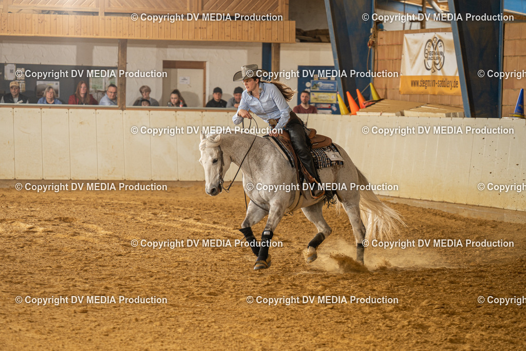 MIT01338 | dv-media-shop - Realisiert mit Pictrs.com