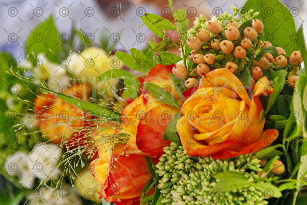 Blumenstrauß | Nikograph by Killas.Photography - Ihr Photo-Designer aus Iserlohn. Bei mir erhalten Photographie und IT-Dienstleistungen zu fairen Konditionen. Bei Nikograph.eu finden Sie Wandbilder, Kalender, Photomagnete und viele weitere Photogeschenke.