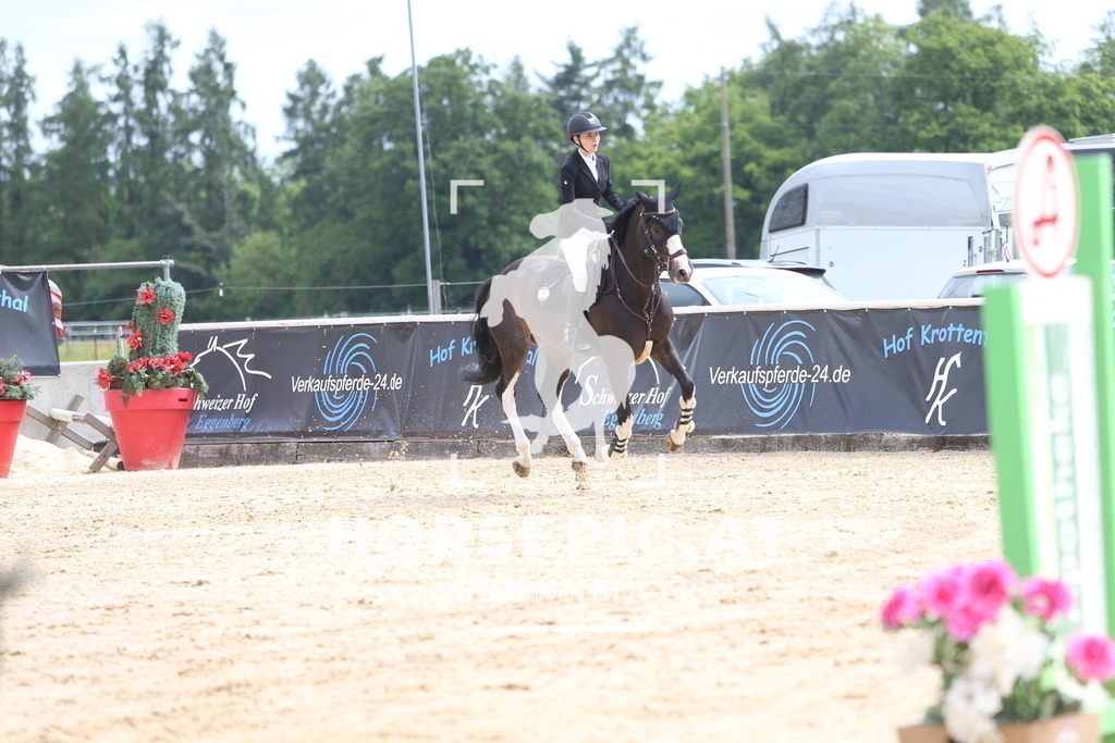 DL2Q0782 | Willkommen bei Brunnmayr - Design & Fotografie – Ihrem Spezialisten für Reitturniere und Pferdeveranstaltungen in Oberösterreich, Salzburg und Bayern! Seit über 17 Jahren sind wir leidenschaftlich dabei.