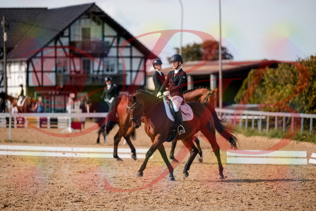 2026_10_03_Siefer-Hof_130956_Z63_71839439 | Professionelle Reitsport-, Turnier- und Eventfotografie von Robert Broda. Galerien mit ausgewählten und bearbeiteten Bildern direkt online ansehen und bestellen.