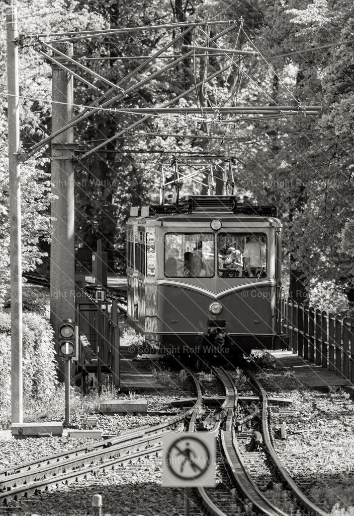 Zahnradbahn2 | Rolf Wittke  - Realisiert mit Pictrs.com