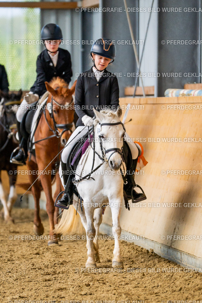 DSC03496 | Pferdegrafie