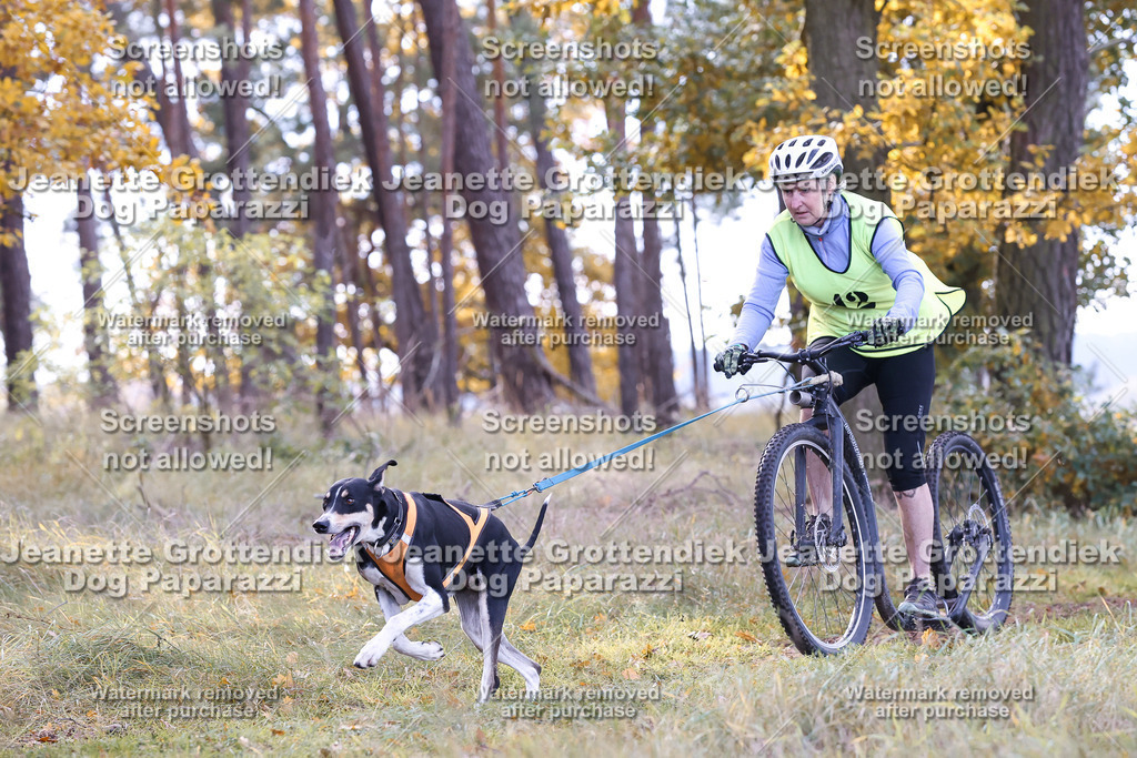 Dog Paparazzi - Elsholz 25 -167 | Dog Paparazzi Jeanette Grottendiek Fotografie & Videografie - Realisiert mit Pictrs.com