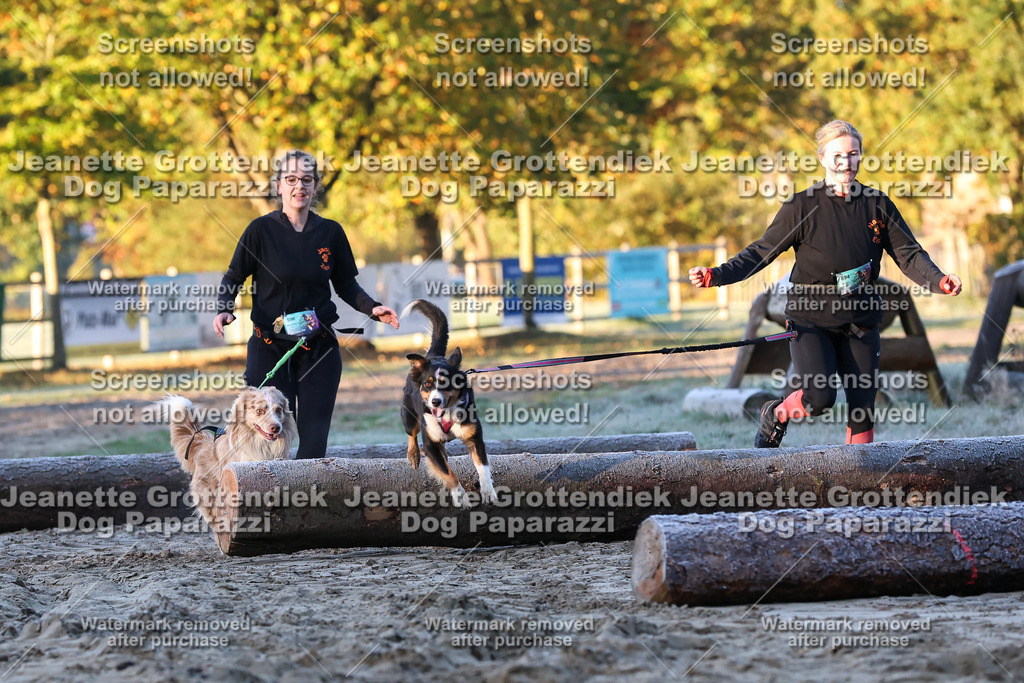 Dog Paparazzi - Strongdog 10-25-412 | Dog Paparazzi Jeanette Grottendiek Fotografie & Videografie - Realisiert mit Pictrs.com