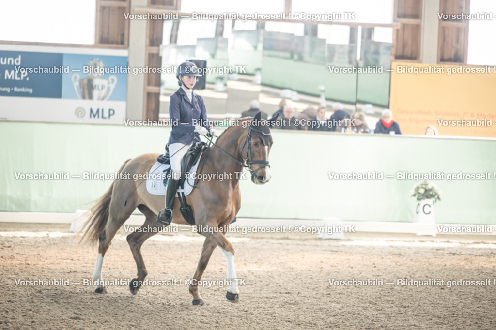 _D5A0599 | Emotionale Pferde- & People-Fotografie rund um Heidelberg, Leimen & Umgebung. Natürliche Fotos von Pferd, Mensch & Familie. Jetzt Termin sichern!