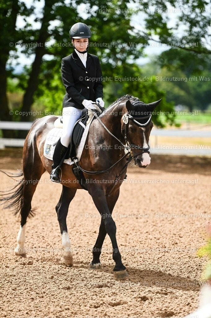 20230716_10-1_Reiter-WB Schritt - Trab - Galopp_0121 | equistock