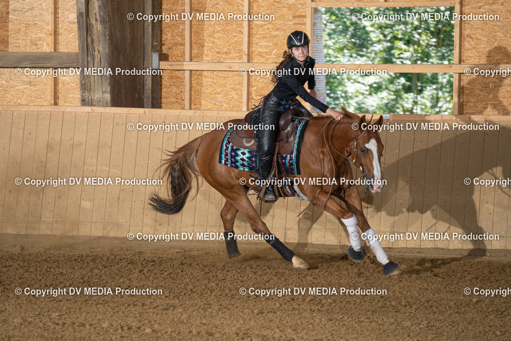 DSC00026 | dv-media-shop - Realisiert mit Pictrs.com