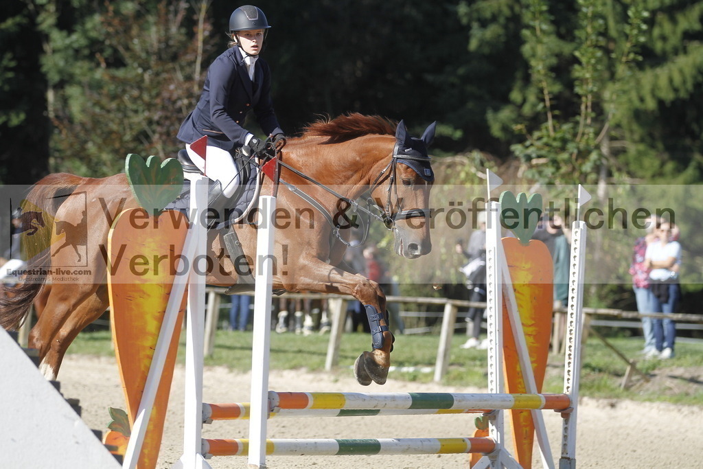 _MG_4146 | equestrian-live-com