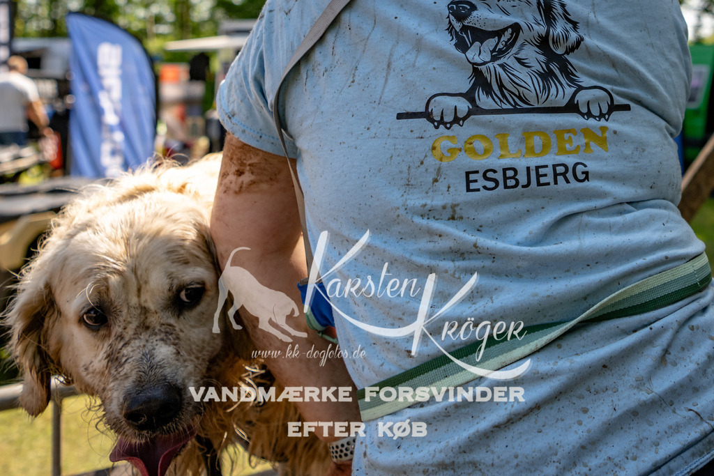 1341_ZZ91917 | kk-dogfotos