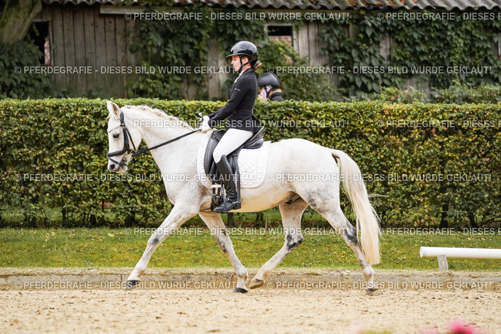 DSC07714 | Pferdegrafie