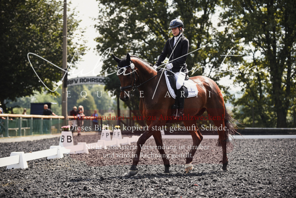 DSC_4144 | Pferde- und Turnierfotografie in Westsachsen. Pferdeportraits, Auftragszeichnungen und intuitive Kunst.