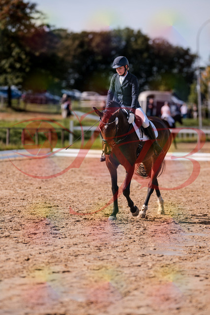 2026_10_03_Siefer-Hof_125856_Z81_49827123 | Professionelle Reitsport-, Turnier- und Eventfotografie von Robert Broda. Galerien mit ausgewählten und bearbeiteten Bildern direkt online ansehen und bestellen.
