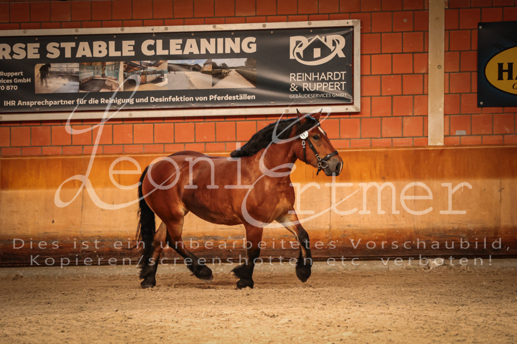 SaFL00144 | Leoni Ertmer Photography - Realisiert mit Pictrs.com