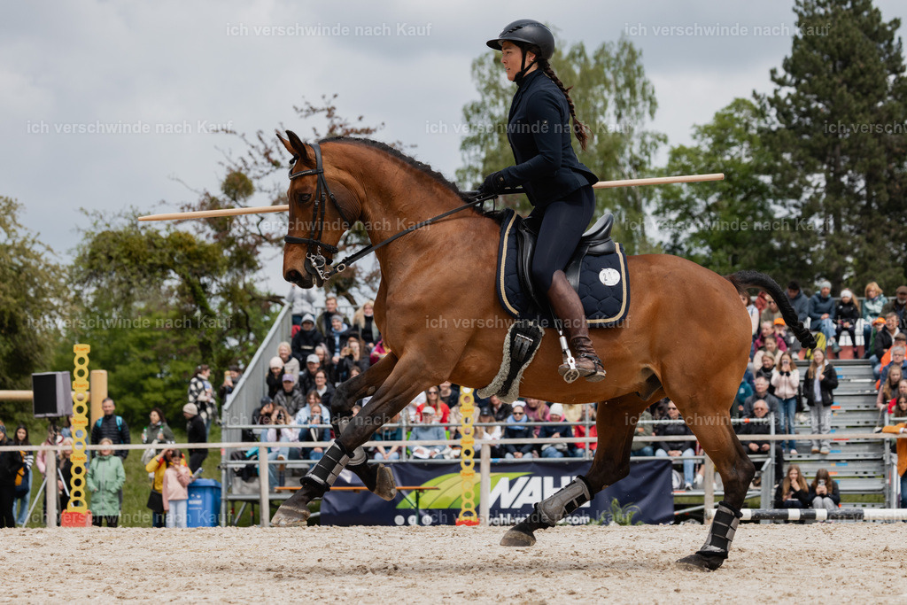 PI26_SP_StoibphotographyC2_C1326.jpg | working equitationturnier fotograf videograf stoibphotography marixx film working equitation deutschland reitsport turnierfotografie eventfotografie equestrian events