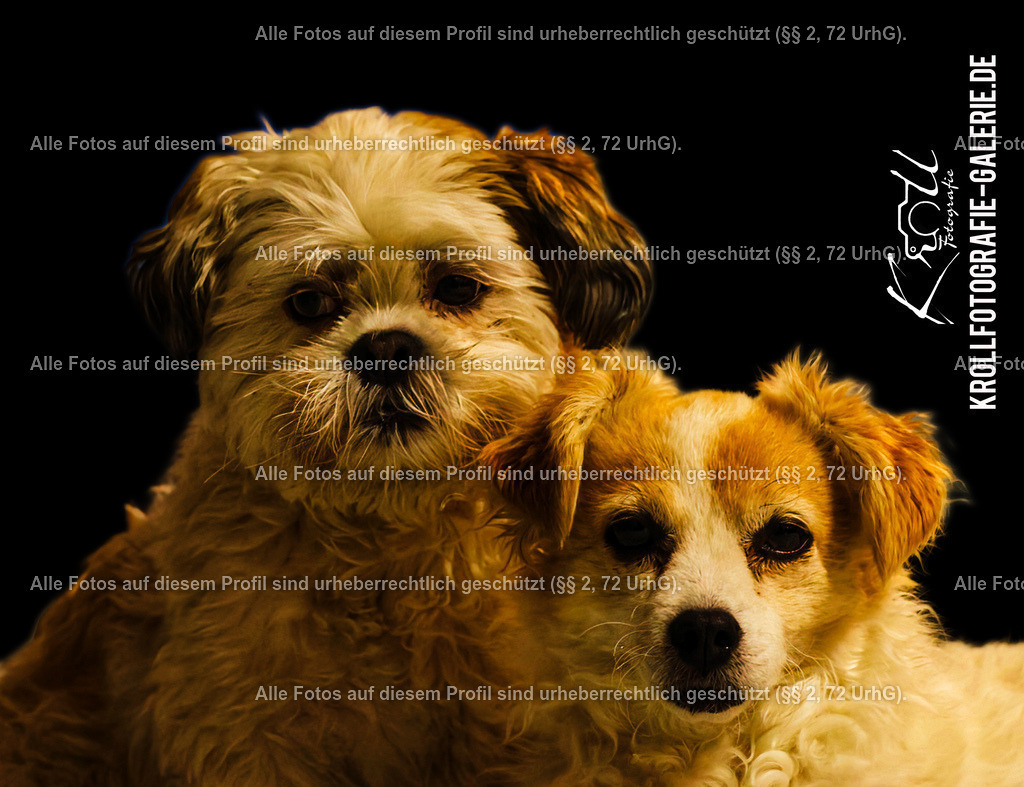Photo_1712255866626 | krollfotografie - Realisiert mit Pictrs.com
