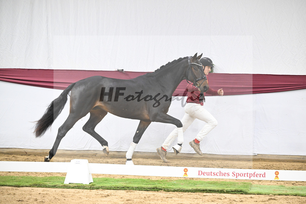 Kat-Nr. 46 Zenetti x Ritz Carlton_Udo Kast_47251610 | hf-fotografie - Realisiert mit Pictrs.com