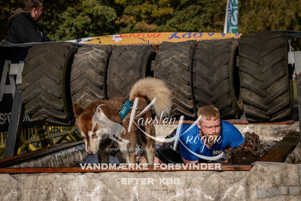 1346_ZZ92946 | kk-dogfotos