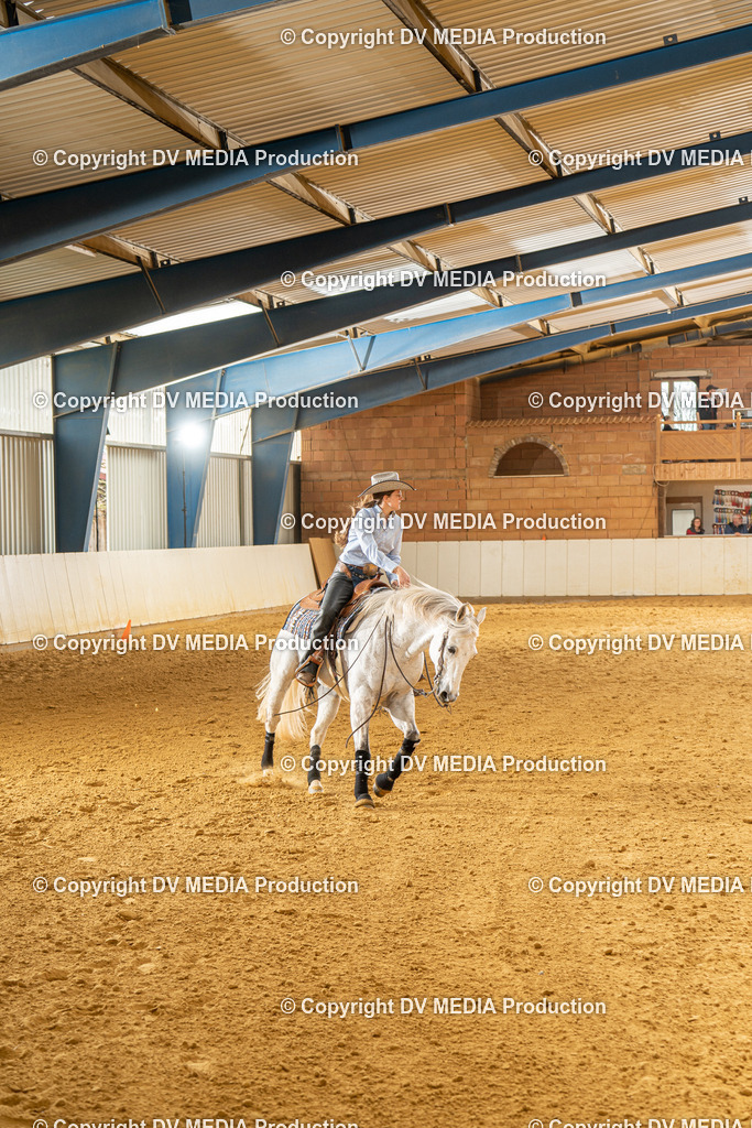 MIT01342 | dv-media-shop - Realisiert mit Pictrs.com