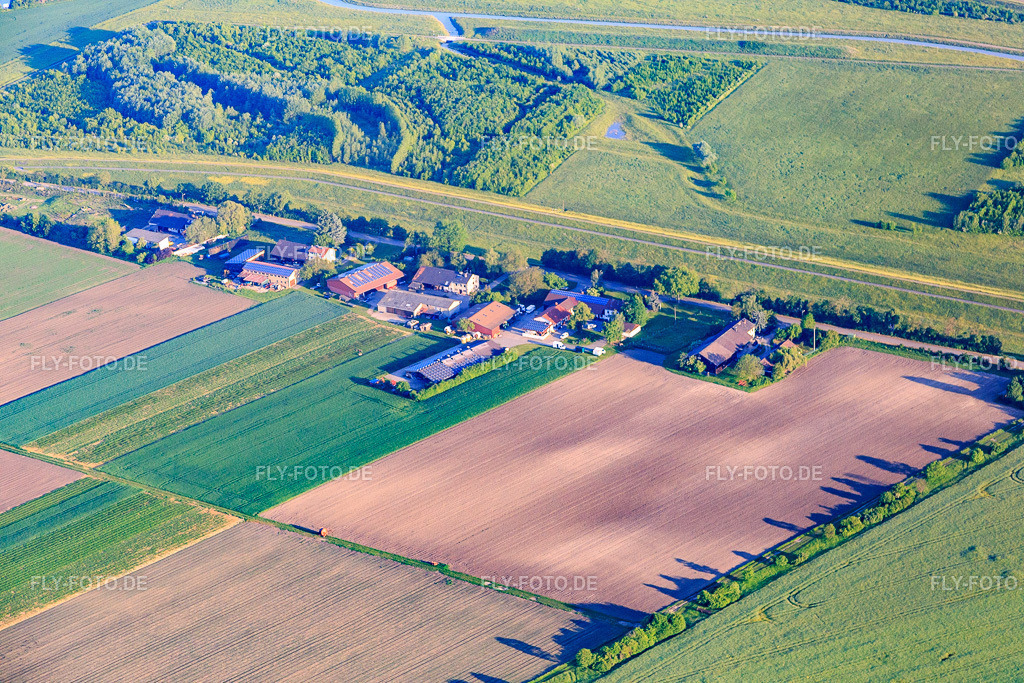 Rheindamm (d. Hohe Weg zum Rhein) mit Karins Frische Kiste http://www.frische-kiste.de/ | Luftbild: Rheindamm (d. Hohe Weg zum Rhein) mit Karins Frische Kiste http://www.frische-kiste.de/ im Ortsteil Sandhofen in Mannheim im Bundesland Baden-Württemberg in Deutschland. Foto: IMG_088670.jpg vom 20.05.2016 durch Werner Riehm/FLY-FOTO.de - Realisiert mit Pictrs.com