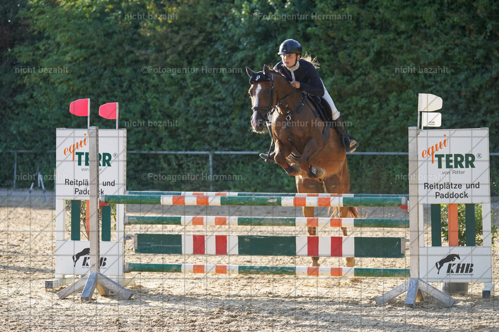 20240824-FAH08750 | Thierhaupten 2024, Bayerisches Landesponyturnier, Turnierbilder, Ponybilder, Turnierfotografen Bayern, Fotoagentur Herrmann