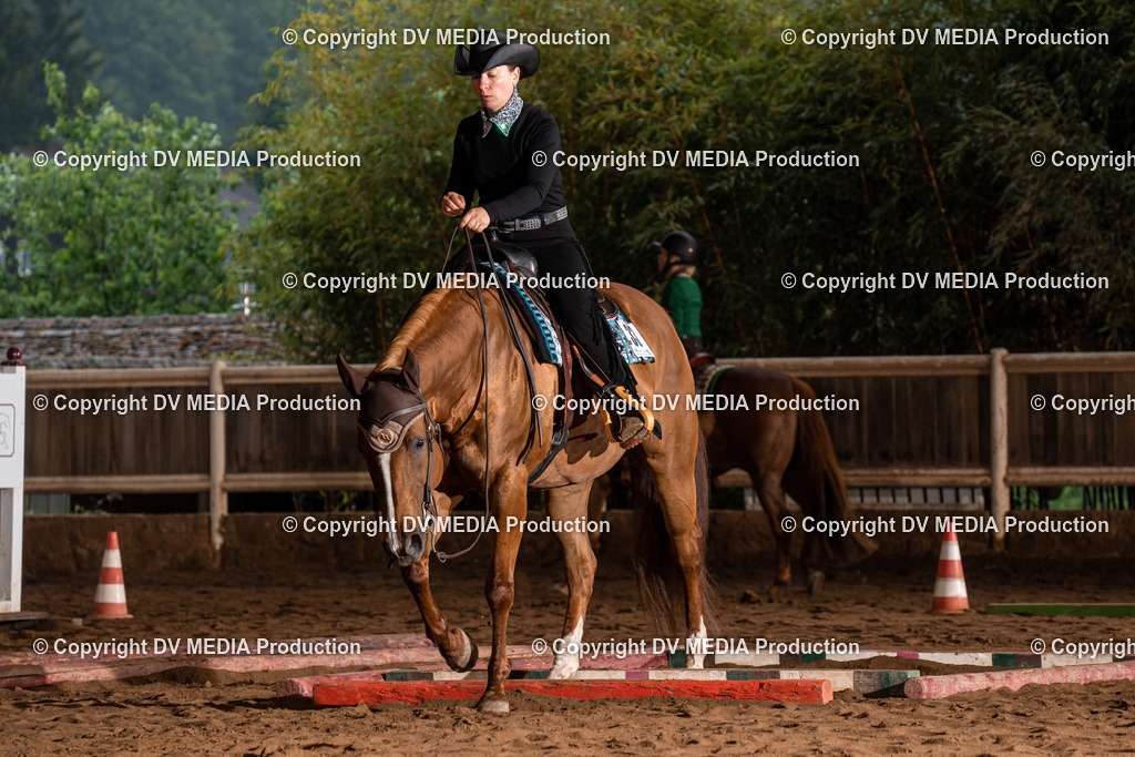 Erbach Tag 3-441 | dv-media-shop - Realisiert mit Pictrs.com