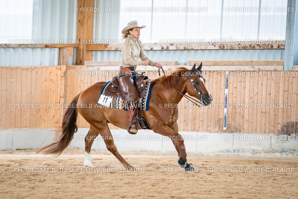 DSC07443 | Pferdegrafie