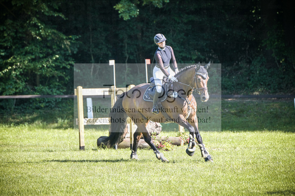 DOS_2312 | Entdecke hochwertige Reitturnierfotos von Foto Oger. Professionell, emotional und authentisch – jetzt Lieblingsmomente im Shop bestellen.Deutschlandweite Turnierfotografie. - Realisiert mit Pictrs.com