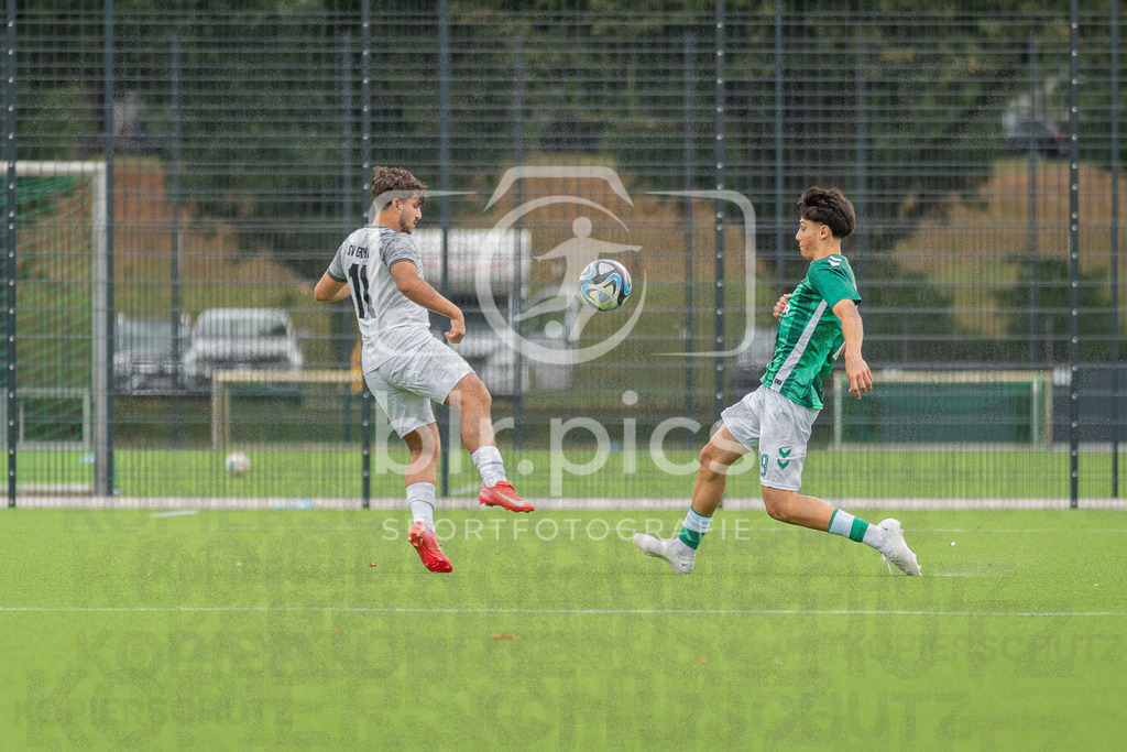 SV Werder Bremen - SV Grohn | SV Werder Bremen - SV Grohn