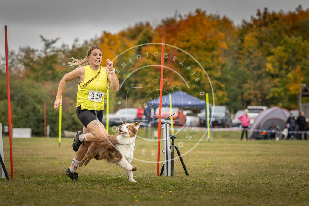 Pfotenfotografie_DV3A3716 | Hundefotografie, Tierfotograf, Pfotenfotografie, Fotoshooting Hund, Hunde Portrait, Hundesport, Hundeportraits, Heideshooting, Hunde, Sportfotograf, Hundefotograf, Turnierhundsport, THS,  - Realisiert mit Pictrs.com