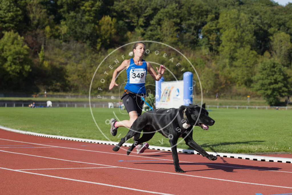 0L8A9670 | Hundefotografie, Tierfotograf, Pfotenfotografie, Fotoshooting Hund, Hunde Portrait, Hundesport, Hundeportraits, Heideshooting, Hunde, Sportfotograf, Hundefotograf, Turnierhundsport, THS,  - Realisiert mit Pictrs.com