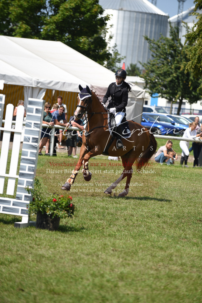 DSC_0020 | Pferde- und Turnierfotografie in Westsachsen. Pferdeportraits, Auftragszeichnungen und intuitive Kunst.