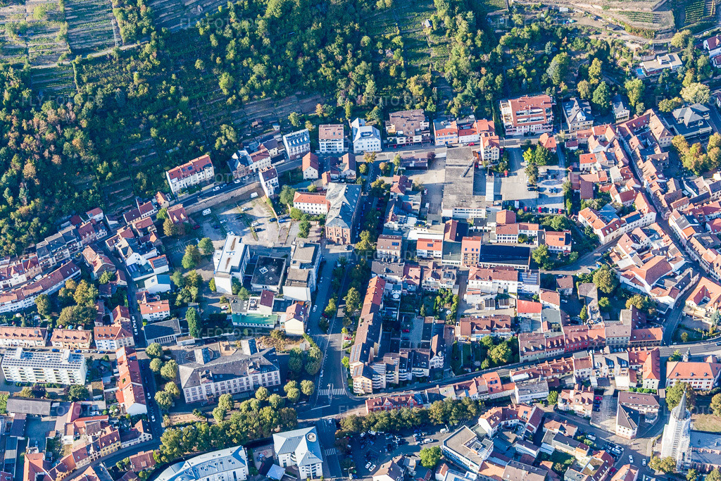 Luftbild: Landesbibliothekzentrum RLP in Neustadt an der Weinstraße im Bundesland Rheinland-Pfalz in Deutschland. Foto: IMG_111795.jpg vom 16.09.2018 durch Werner Riehm/FLY-FOTO.de