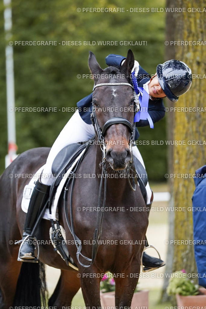 DSC02594 | Pferdegrafie