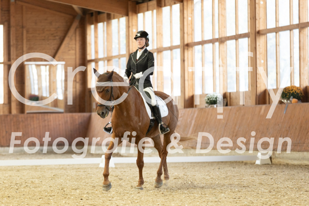 IMG_1592 | Creatify Fotografie