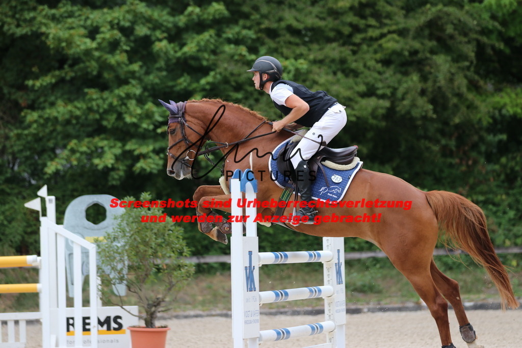 IMG_2337 | lmwpictures - Realisiert mit Pictrs.com