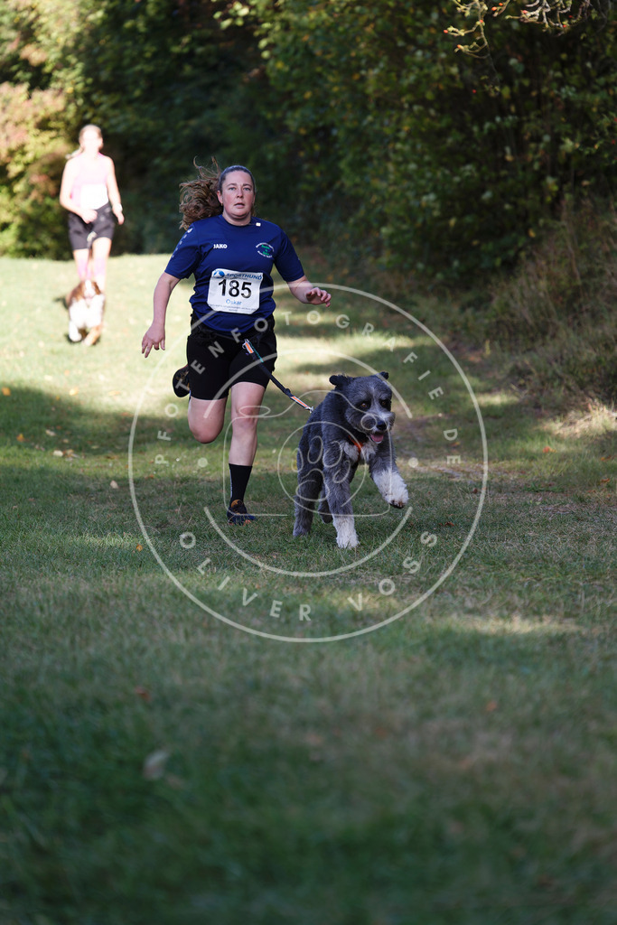 0L8A5531 | Hundefotografie, Tierfotograf, Pfotenfotografie, Fotoshooting Hund, Hunde Portrait, Hundesport, Hundeportraits, Heideshooting, Hunde, Sportfotograf, Hundefotograf, Turnierhundsport, THS,  - Realisiert mit Pictrs.com