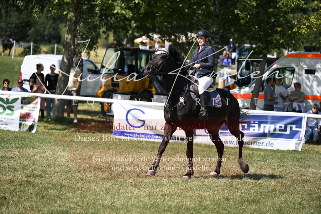 DSC_0475 | Pferde- und Turnierfotografie in Westsachsen. Pferdeportraits, Auftragszeichnungen und intuitive Kunst.