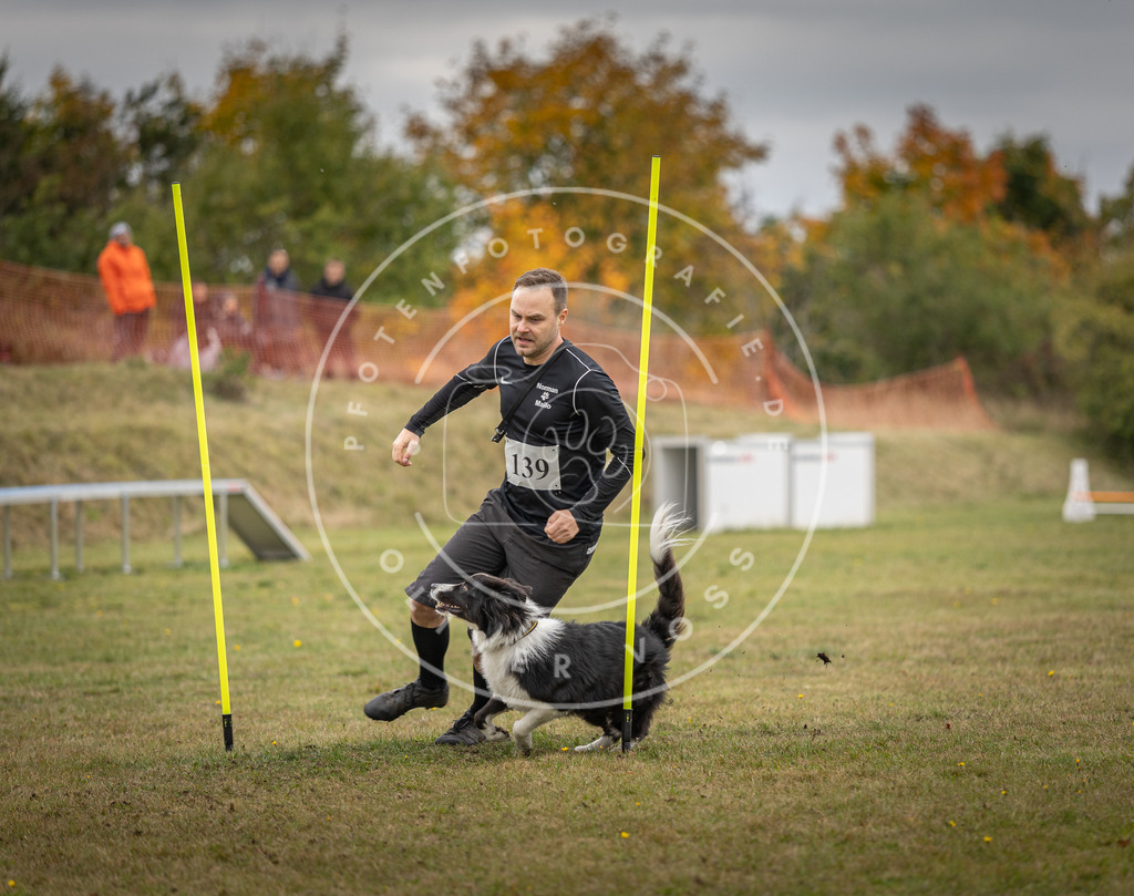 Pfotenfotografie_DV3A8295 | Hundefotografie, Tierfotograf, Pfotenfotografie, Fotoshooting Hund, Hunde Portrait, Hundesport, Hundeportraits, Heideshooting, Hunde, Sportfotograf, Hundefotograf, Turnierhundsport, THS,  - Realisiert mit Pictrs.com