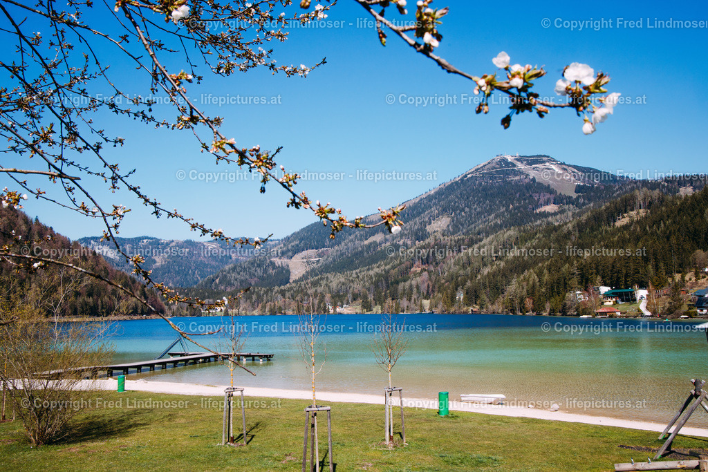 Fruehling im Mariazellerland 230402020-29250 | Fotos und Fotoprodukte - Realisiert mit Pictrs.com