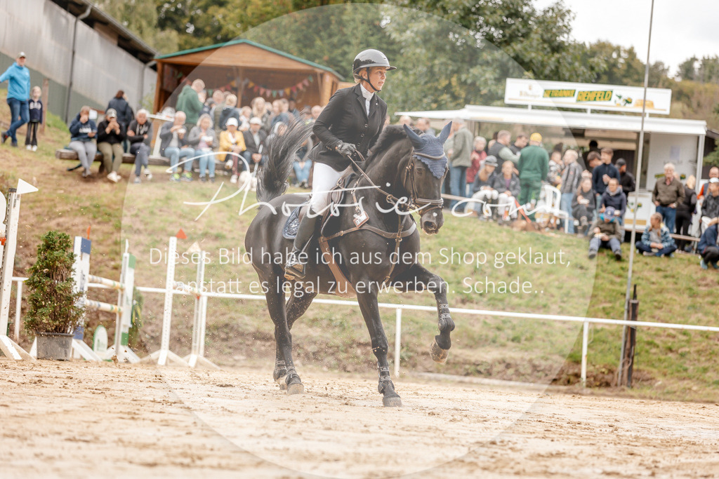 3I6A8475 | Stimmungsvolle Portraits und Reitsportfotografie im Ruhrgebiet und im Münsterland.

Pferdefotografie, Hundefotografie, Tierfotografie, Reportagen, Portraits von Tier und Mensch, Turnierfotografie in Bochum, Recklinghausen, Marl, Haltern am See, Dülmen.. - Realisiert mit Pictrs.com